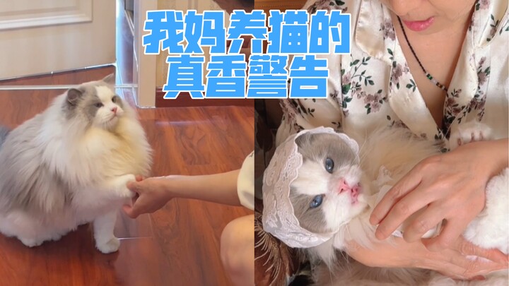 Ever since I got a cat, my mom-and-me relationship has been…so-so.