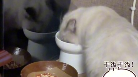 Mao Mao: Mama, I'll eat well!