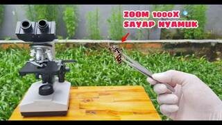 ZOOM 1000X: SAYAP NYAMUK, BERAS & SISIK IKAN