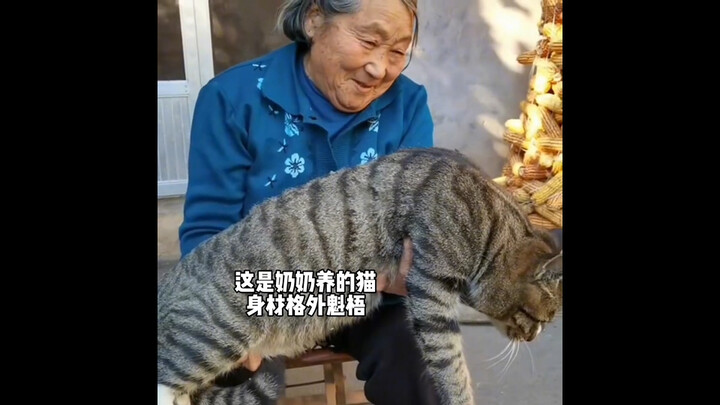 “Grandpa and Grandma’s little darling”