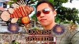 My First Time Catching A Lionfish