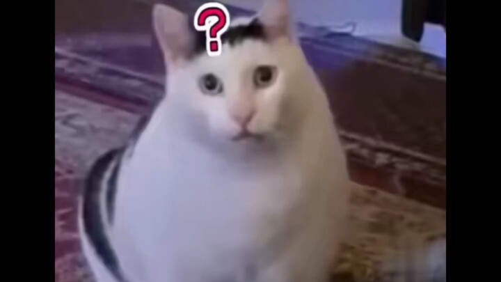 It turns out the Gummy Bear is actually a guy in disguise