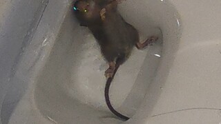 还好遇到了我，遇到别人兴许就给你放了