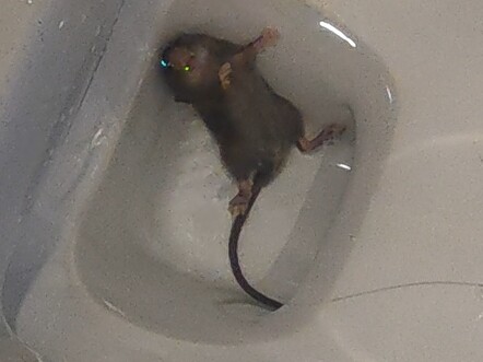 还好遇到了我，遇到别人兴许就给你放了