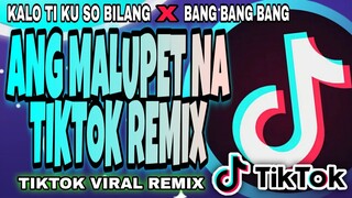 Ang malupet na TIKTOK VIRAL REMIX2021 | NONSTOP