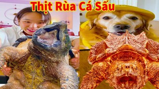 Thú Cưng TV | Gâu Đần và Bà Mẹ #42 | Chó Golden Gâu Đần thông minh vui nhộn | Pets cute smart dog