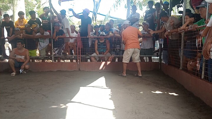 Jpaul Grey vs sweater good fight.