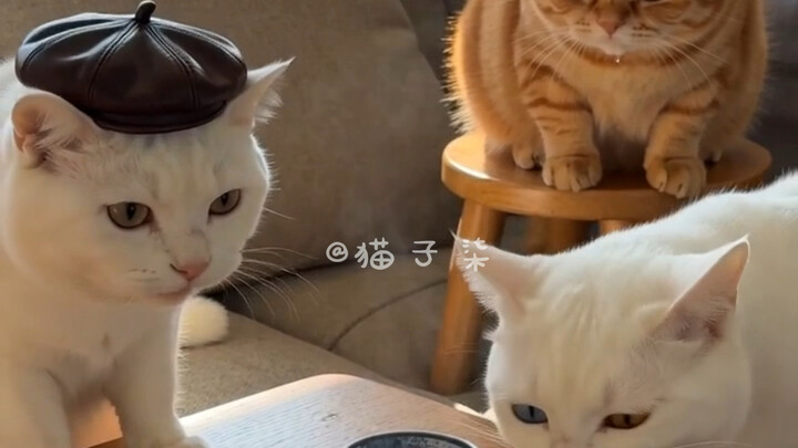 Nhớ ăn uống đúng giờ nhé