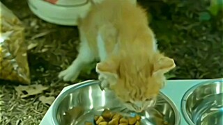 title: marry my husbond