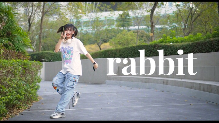 【คาคุมิ】กระต่าย ☛ กระโดดไปมา