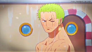 Roronoa Zoro 🥶☠️