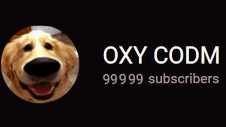 99999 SUBSCRIBERS