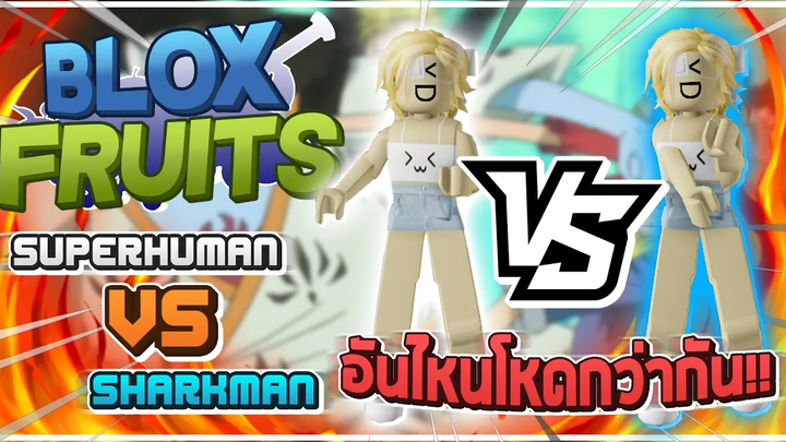 Roblox Blox Fruits 🔥 ระหว่าง "SHARKMAN KARATE" กับ "SUPERHUMAN" อันไหนโหดกว่ากัน! (600 MASTERY!!)