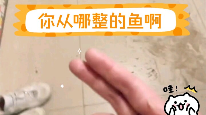 “Where’d you get the fish? Your hands smell so fishy.”