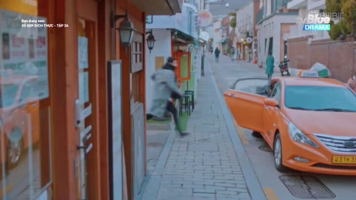 True beauty // t26.   (1)