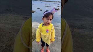 putri duyung terdampar di pantai