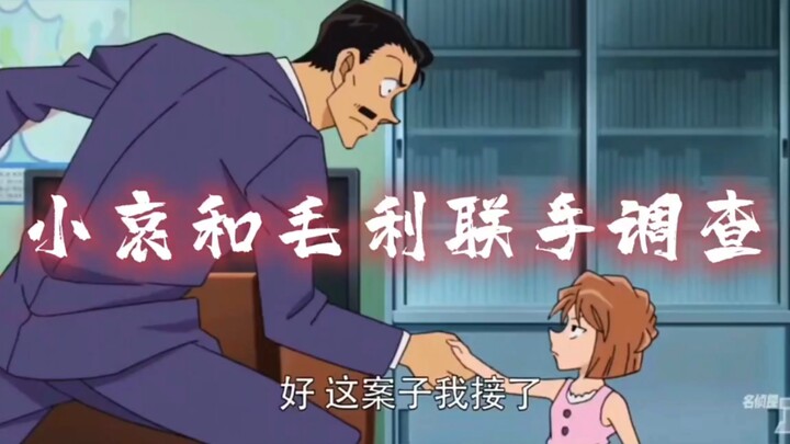 小哀与毛利大叔联手