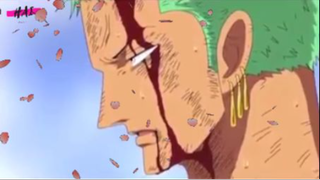 Zoro vs Trafalgar law  Ai mới là kiếm sĩ mạnh nhất trong liên minh