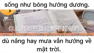 sống lạc quan tích cực nào #dailyvlog#life#chill