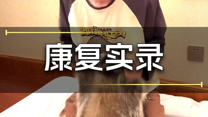 แร็กคูนที่ดูขี้เกียจมาก
