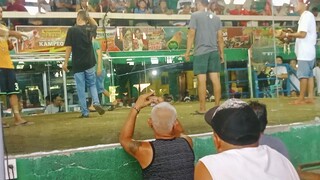 sweater x white kelso