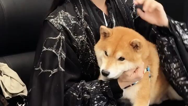 our neo😘😘😘😘