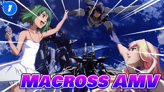 We Are Fighter Planes, And We Are Flying Birds | Macross_1