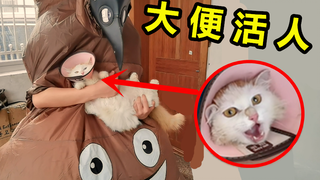 Con mèo phát hiện một người đàn ông treo cổ đang đại tiện sống trong nhà và cố gắng vuốt ve anh ta, 