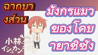 [โคบายาชิซังกับเมดมังกร] ฉากบางส่วน | มังกรแมวของโคบายาชิซัง