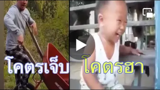 รวมคลิปตลก ฮ่าๆ ep8