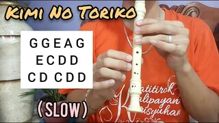 Kimi No Toriko - Recorder Flute Easy Letter Notes / Flute Chords (SUMMER TIME)