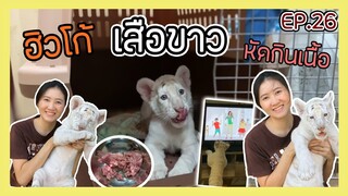 หัดเสือกินเนื้อครั้งแรก ไม่ง่ายอย่างที่คิด หรือ ฮิวโก้จะไม่ใช่เสือ ? EP.26