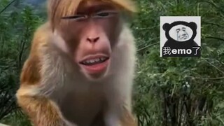 哈哈哈哈我就不多说了