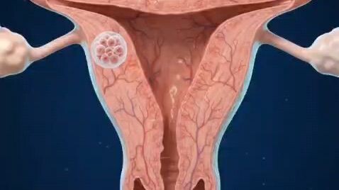 From 1 Cell to a Baby: 40 Weeks of Pregnancy Explained 👶 | 3D Medical Animation