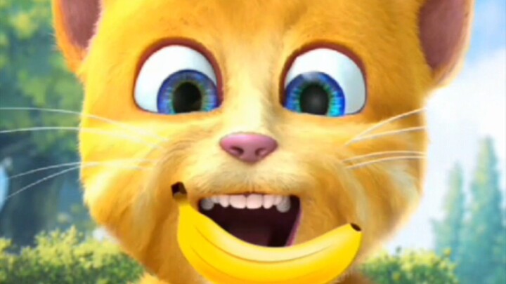 Talking Ginger 😺😺😺