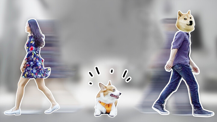 การทดลองขบขัน: สุนัขจะไปกับใครเมื่อคู่รักเลิกกัน
