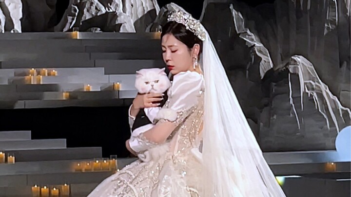 带着我的猫结个婚，从此以后又多了一个爱它的男人，解释下《我和哈礼鹿妈妈不是一个人》《喜欢男生》《24k纯直女》，还有…《生娃的是我》《因为口罩推迟才办的婚礼》