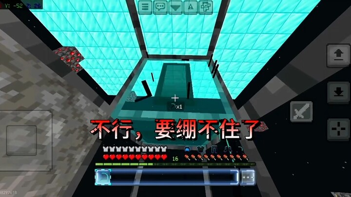 我的世界：真意志力