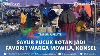 Pasar Mowila Konawe Selatan Sultra Buka Setiap Jumat, Jual Pucuk Rotan, Sayur Kegemaran Warga Mowila