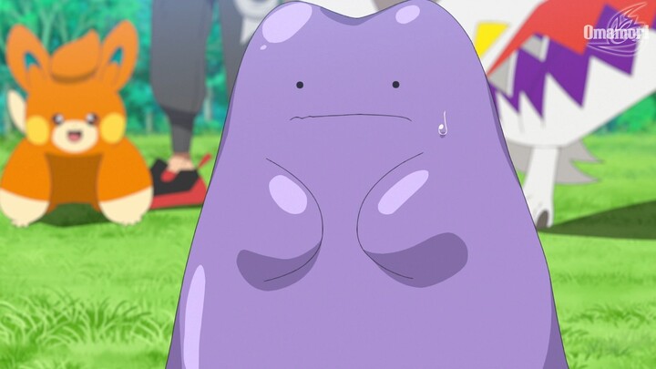 Pokemon Horizon Tập 139: Khúc cuồng tưởng về Metamon bí mật