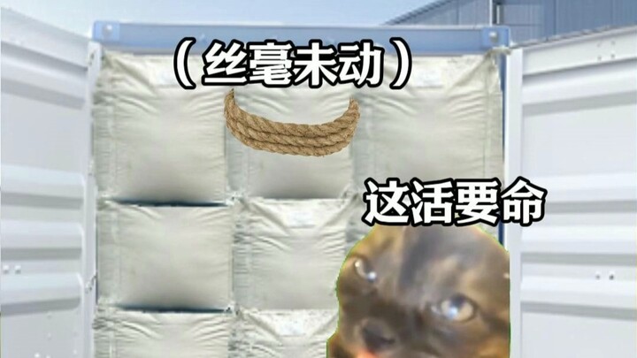 Biarkan orang asing melihat apa itu ketelitian tinggi ala Tiongkok dengan kesalahan nol!