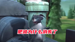 肥波为什么消失了