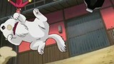 [Gintama] Gintama có lẽ là người duy nhất có thể trở lại trong OP phải không?