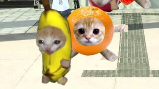 香蕉猫不怕热的秘密