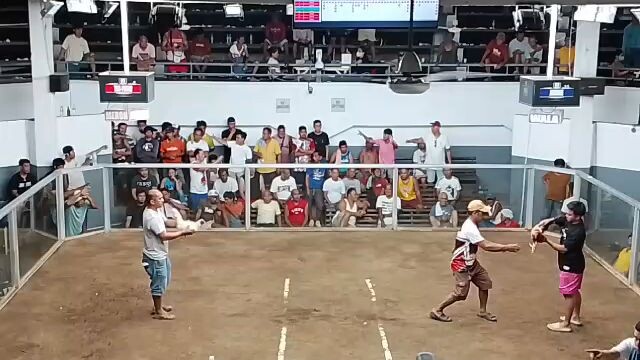 MCA 01/01/2026....LOse