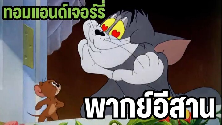 ทอมแอนด์เจอร์รี่ พากย์อีสาน ตอน แมวสาวสุดสวย