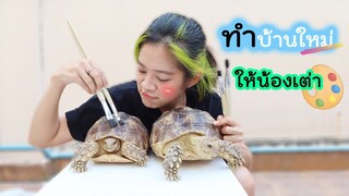 DIY ทำบ้านให้น้องเต่าซูคาต้า งานนี้มีเละ!