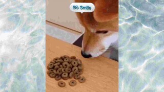 Cạn ngôn với mấy bé này