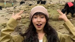 Dance Collection/Plateau Tibet Pure Enjoyment Edition was questioned about the background being p? ?