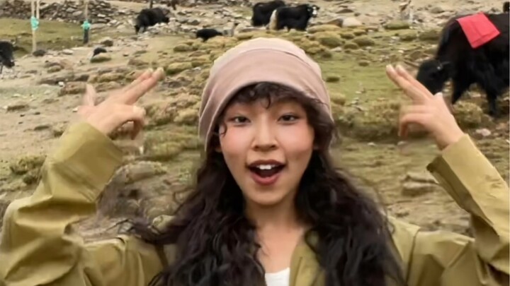 Dance Collection/Plateau Tibet Pure Enjoyment Edition was questioned about the background being p? ?